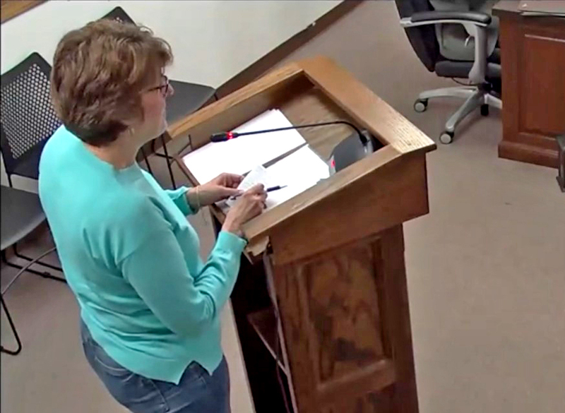 Fall Festival Committee Vice President Beth Zimmer outlines the group’s proposal to help fund upgrades to the Lake Park public restrooms during Monday night’s council meeting.