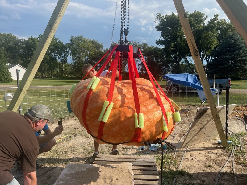 Tim Dare secures his 1,086-pound giant pumpkin for the trip from the family’s Venado Lake-area property near Delavan to Morton’s Pumpkin Fest, where the homegrown heavyweight would go on to claim the Giant Pumpkin Contest title and a $300 prize.